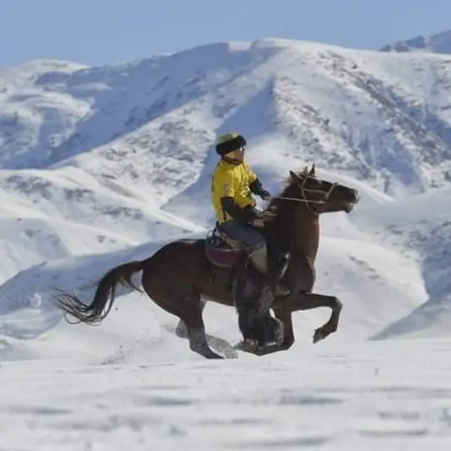 Ат оюнунун бул түрү жыл бою ойнолот