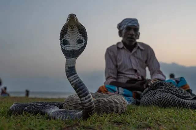 এখনও অনেকে সাপে কাটার পর রোগীকে আগে ওঝা বা কবিরাজের কাছে যান।