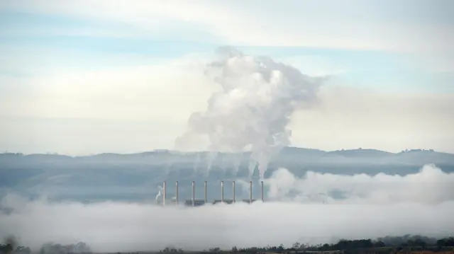 கரிம வர்த்தகம்