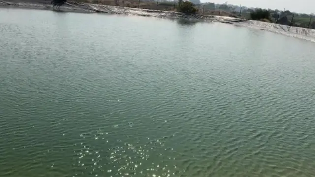 સુરેખા ગડદરે