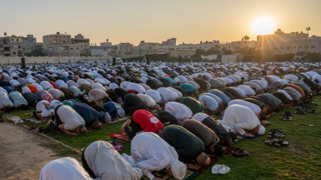 من محافظة العريش 