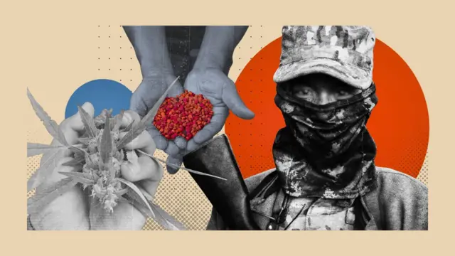 ပြောက်ကျားဝတ်စုံဝတ် လက်နက်ကိုင်အမျိုးသမီးတစ်ဦး၊ မူးယစ်ဆေးဝါးပြားတွေကို လက်ကနေ ကိုင်ပြထားပုံနဲ့ ဆေးခြောက်ပင်တစ်ပင်ကို လက်ကနေ ပြိုင်ပြထားတဲ့ အဖြူအမည်း လိမ္မော် အဝါရောင် ပေါင်းစပ်ဓာတ်ပုံ