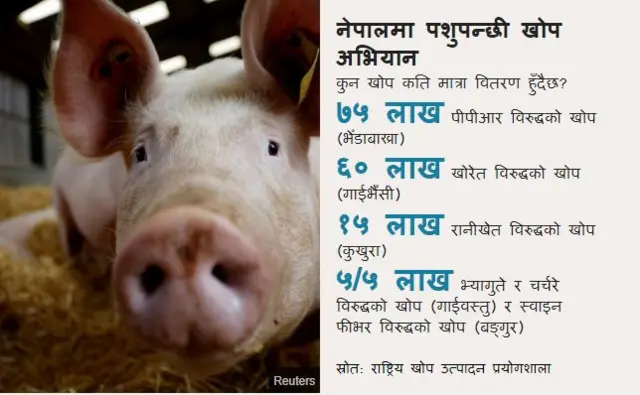 तथ्याङ्क