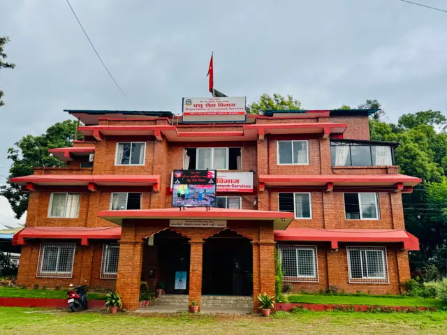 पशु सेवा विभाग