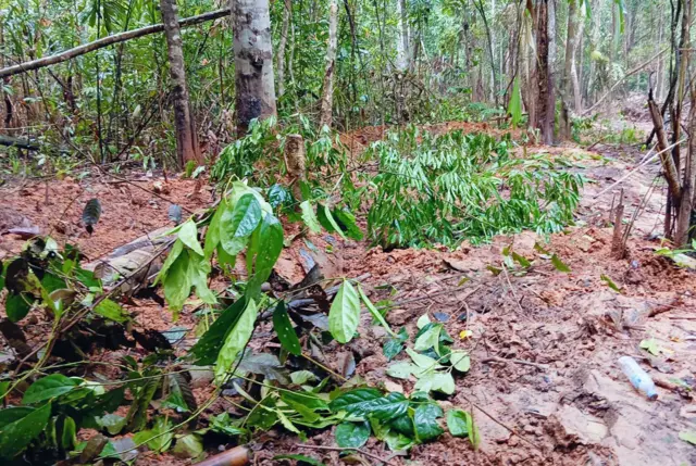 A handout photo made available by the Royal Thai Army shows trenches dug and filled by Cambodian soldiers for restoration after Thai and Cambodian military talks at the disputed border where troops clashed in the Chong Bok area, Nam Yuen district, Ubon Ratchathani province, northeastern Thailand, 08 June 2025 (issued 09 June 2025). Thailand and Cambodia have agreed to redeploy their troops and return to prior positions agreed upon in 2024. Cambodian troops also agreed to fill in the trenches they had dug in the contested territory amid ongoing border disputes, following deadly clashes in Chong Bok that killed one Cambodian soldier, according to Royal Thai Army spokesperson Winthai Suvaree.
Thai and Cambodian troops agree to withdraw after border talks, Nam Yuen, Thailand - 09 Jun 2025