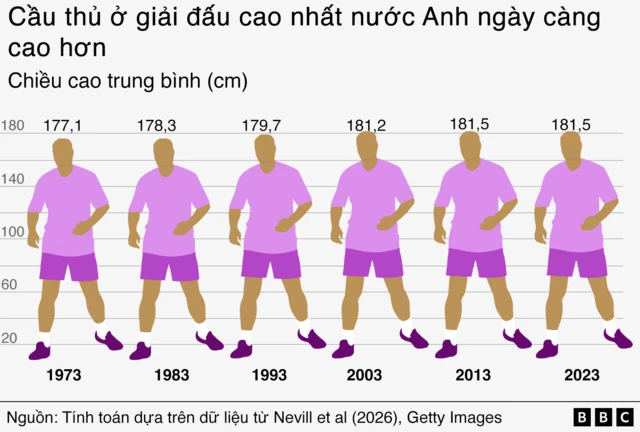 Biểu đồ cho thấy chiều cao trung bình của cầu thủ tại giải đấu cao nhất của Anh đã tăng từ 177,1 cm năm 1973 lên 181,5 cm năm 2023