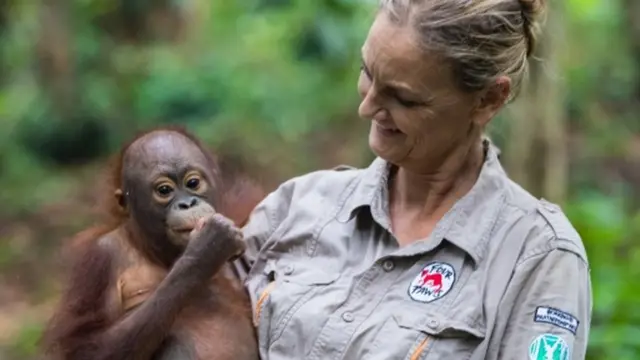 Doktorka sa organutanom koji je ostao bez roditelja