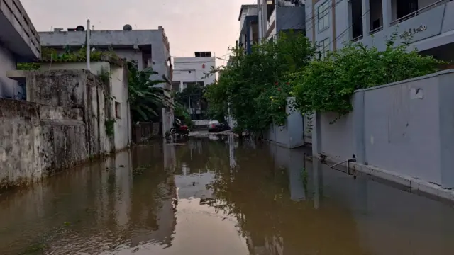 తెలంగాణలో మొంథా తుపాను, ఉమ్మడి వరంగల్