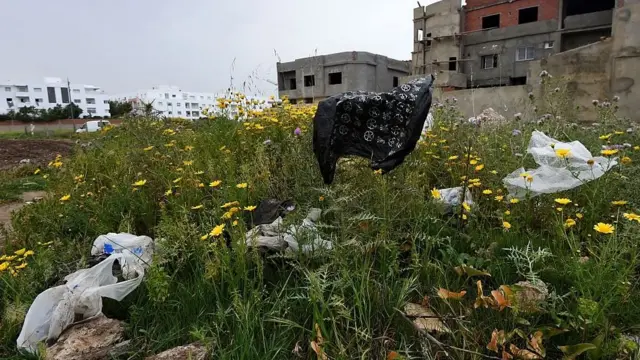 желим таштанды