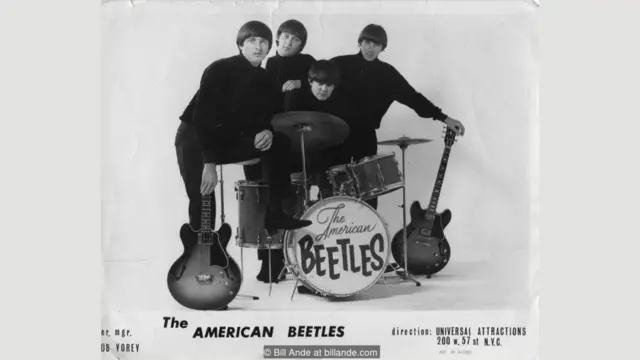 Изначально группа называлась The Ardells, но потом была переименована в The American Beetles