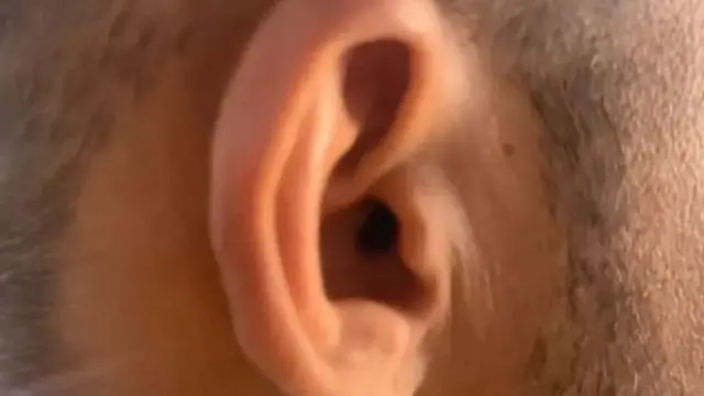 कॉपी
