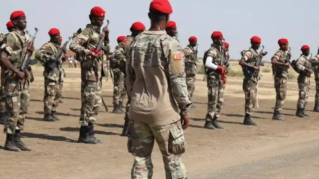 ሰነት ኣመሪካ፡ ብዛዕባ 'ኢድ ኣእታውነት' ሓይልታት ትግራይ ኣብ ኲናት ሱዳን እንታይ ኢሉ?