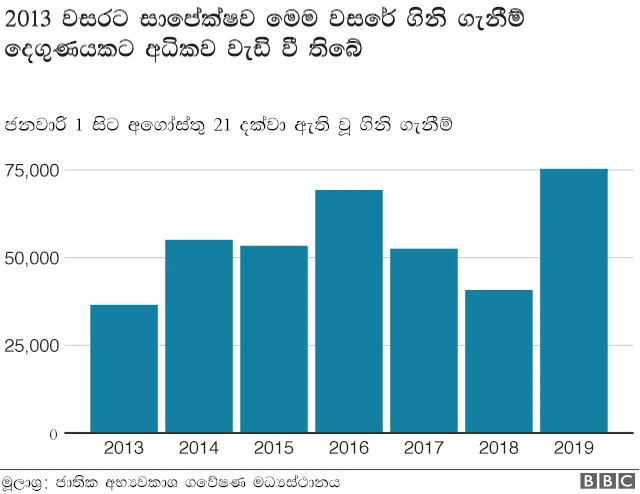 ඇමසන්