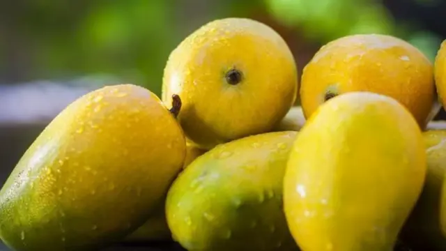 நீரிழிவு நோய் இருந்தால் மாம்பழம் சாப்பிடலாமா? மருத்துவர்கள் சொல்வது என்ன?