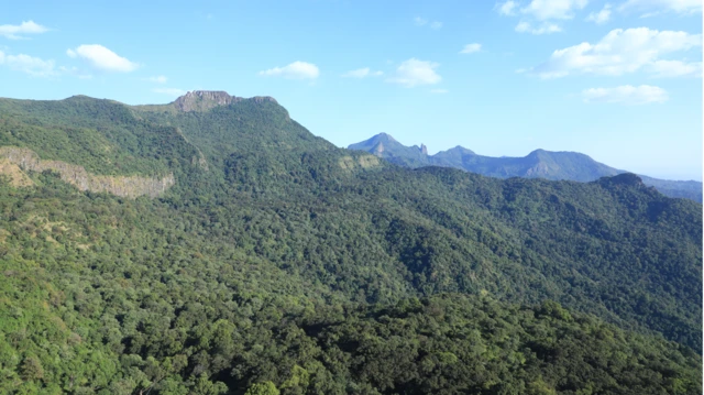 Bosona harannaa bulluq