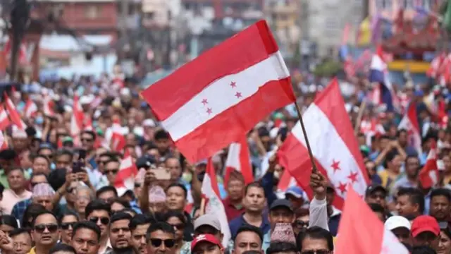 नेपाली कांग्रेसको झण्डा