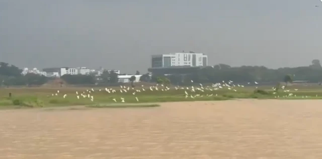  வேளச்சேரி