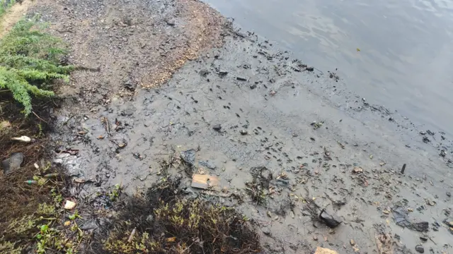 எண்ணூர் கொசஸ்தலை ஆற்றில் கலந்த எண்ணெய்