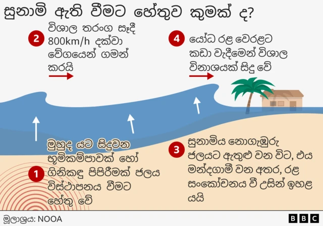 An illustration explaining how tsunami is triggered 