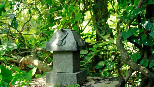 భారతదేశంలో పాములను పునర్జన్మకు సంకేతంగా భావిస్తారు