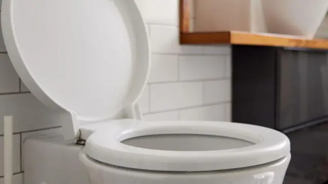 White toilet with seat up