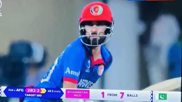 cricket
