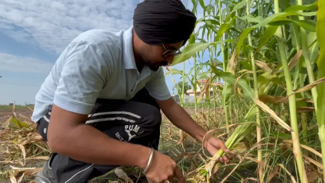 ਦਵਿੰਦਰ ਸਿੰਘ