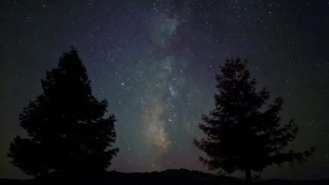 పిక్సెల్-4