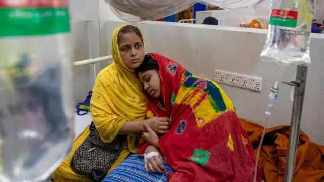 ডেঙ্গু, চিকুনগুনিয়া রোগের বাহক এডিস মশা