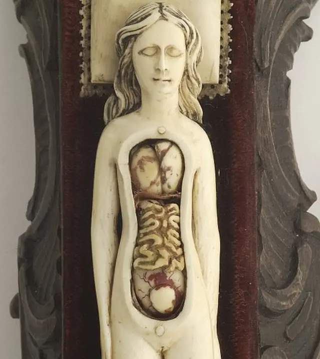 Modelo anatómico hecho en marfil de una mujer embarazada con partes móviles que quizás se usaba para tranquilizar a las futuras madres. Una de las maravillosas piezas de la colección del Wellcome Institute.