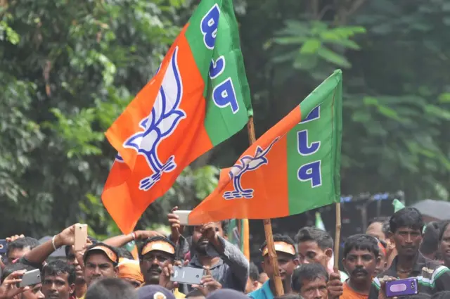 भारतीय जनता पार्टी, दक्षिण भारत में भाजपा