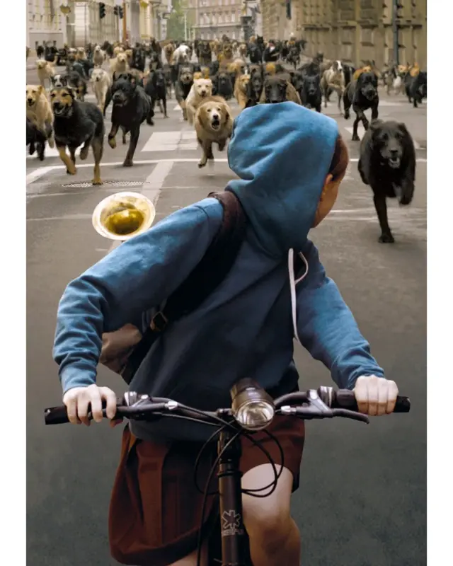 Бели Бог (2014) подрива типичан наратив о нападу животиња приказујући побуну из визуре једног пса из кафилерије