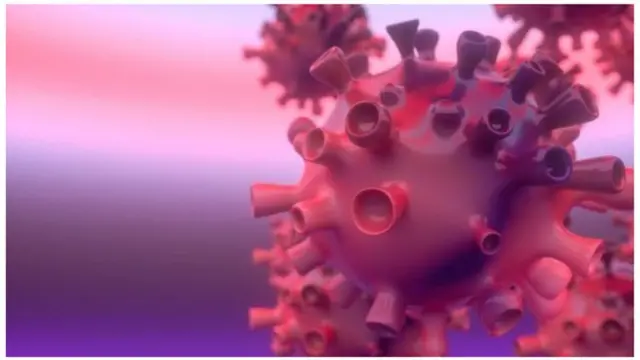 Coronavirus