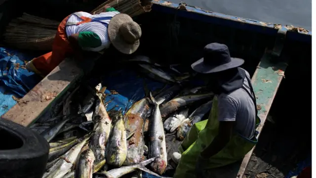 Derrame de petróleo en Peru.