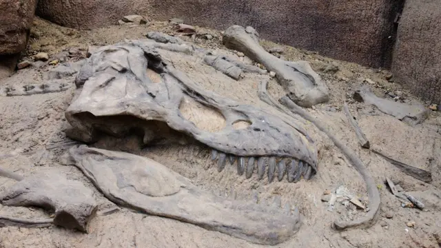 Рештки динозавра