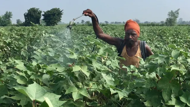 शेतमजूर