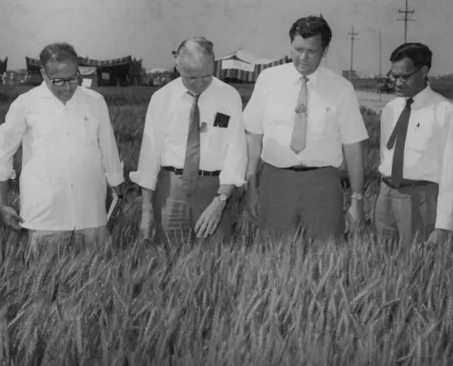 எம்.எஸ்.சுவாமிநாதன் 