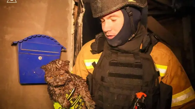 Рятувальник виносить кота. Одеса