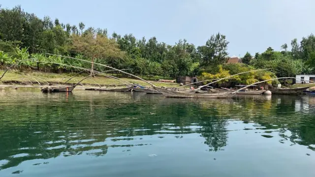 Amato y'ibiti ari mu mazi ku mwaro w'ikirwa cya Bugarura. Hirya hari inzu, ibiti n'urutoki (rw'insina). 