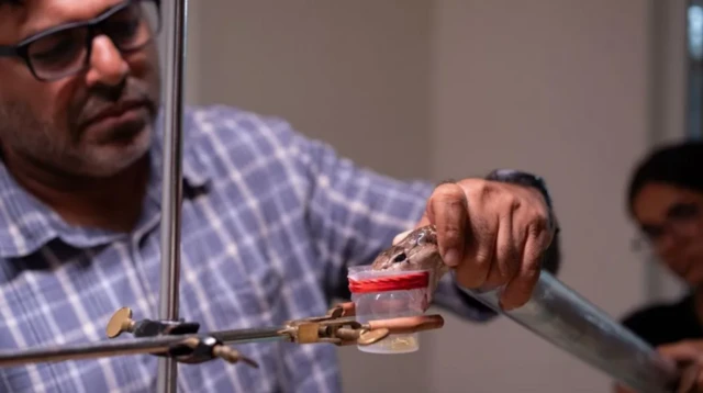 ਗੈਰੀ ਮਾਰਟਿਨ