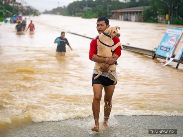 လူငယ်အမျိုးသားတစ်ဦးက ခွေးတကောင်ကို ရင်ခွင်ပိုက်ကလေးလို ပိုက်ကာ ရေဘေးကနေ ကယ်ဆယ် ပေးခဲ့ 