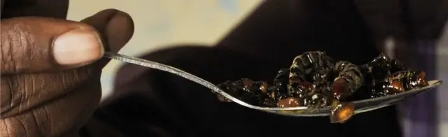 கம்பளிப்பூச்சிகள் உணவு