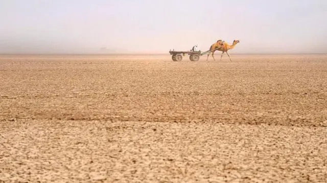 ਕੱਛ ਦਾ ਰੇਗਿਸਤਾਨ