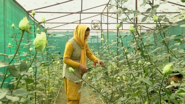 रूबीना तबसुम