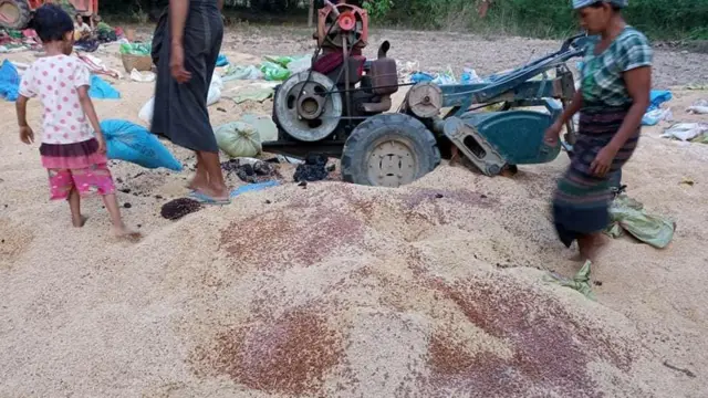 စစ်ရှောင်တွေအတွက်ထားတဲ့ မြေပဲဆန်တွေနဲ့ စပါးတွေ မွှေနှောက်ရောနှောခဲ့တယ်လို့လည်းဆို 