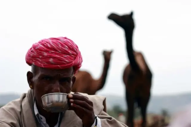 ગાયનું દૂધ