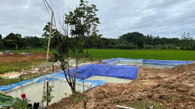 Lina mengubah sawah milik keluarganya menjadi tempat penampungan dan penyaringan air untuk dijual