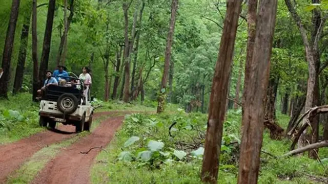 Awọn to n ṣe irinajo lọ si Ibodi monkey Reserve