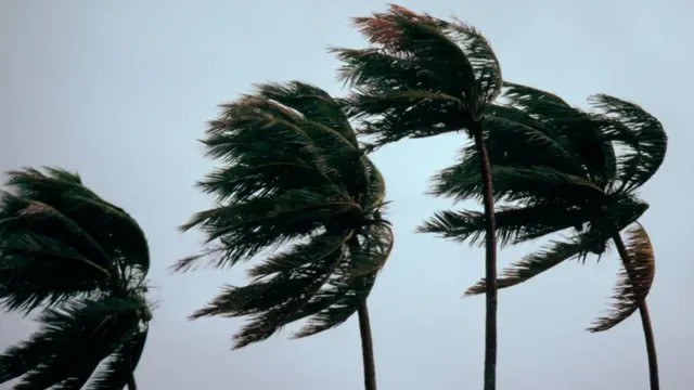 વાવાઝોડું