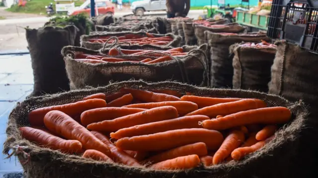 நீலகிரி செய்திகள், ஊட்டி கேரட், தமிழ்நாடு செய்திகள், தமிழக செய்திகள்